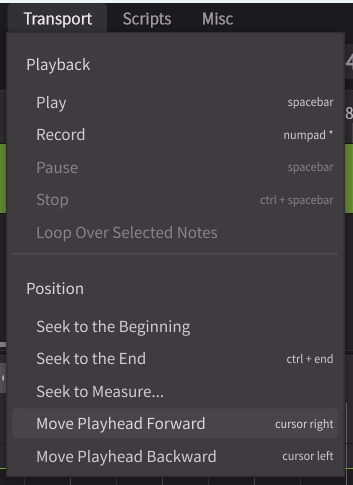 transport_playhead4.png